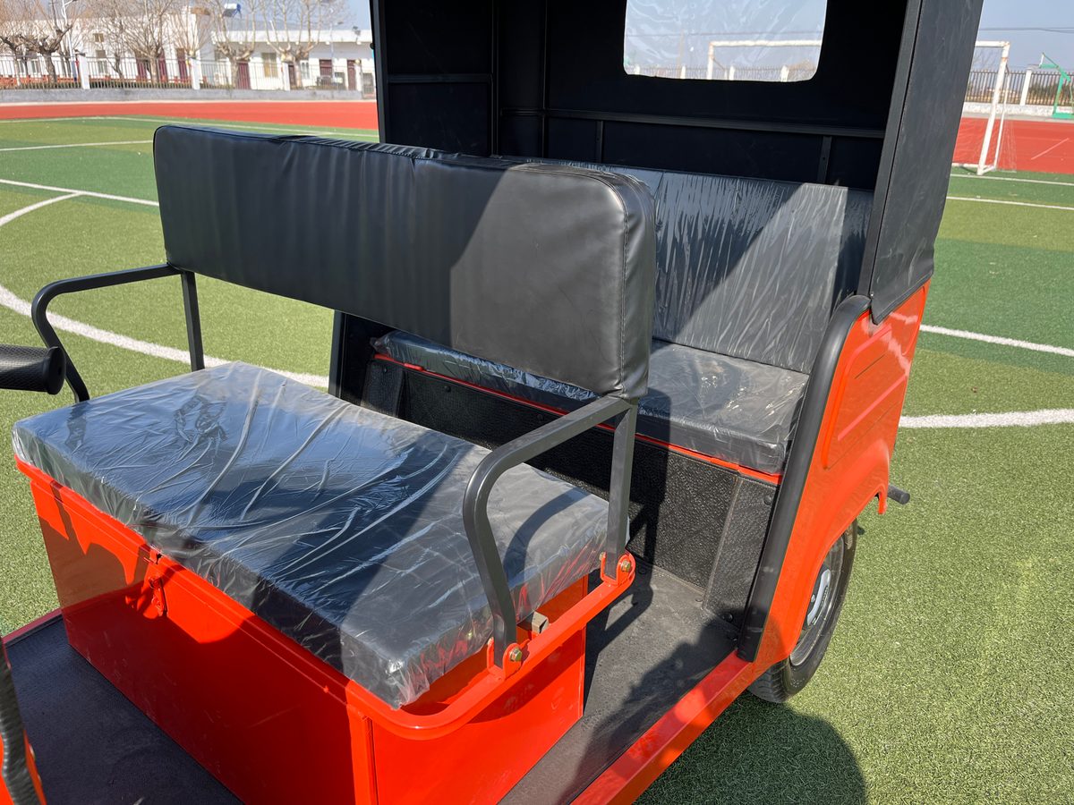 Dudu Tricycle I 5 dudu1 5