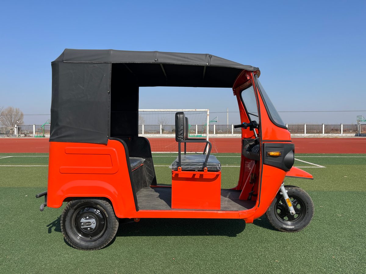 Dudu Tricycle I 6 dudu1 6