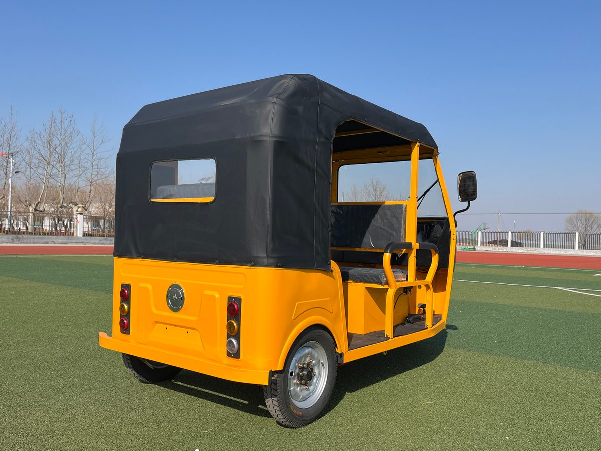 Dudu Tricycle 4 dudu 4