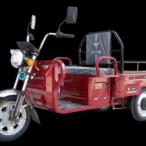ZB1124 EEC Cargo Tricycle