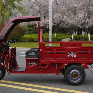 zb1524 canopy 3