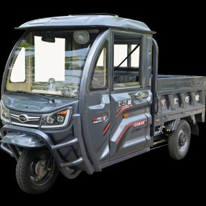 ZB1524 Pro NEW EEC Cargo Tricycle