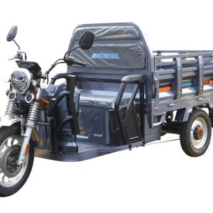 ZB1624 EEC Cargo Tricycle
