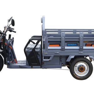 ZB1624 EEC Cargo Tricycle