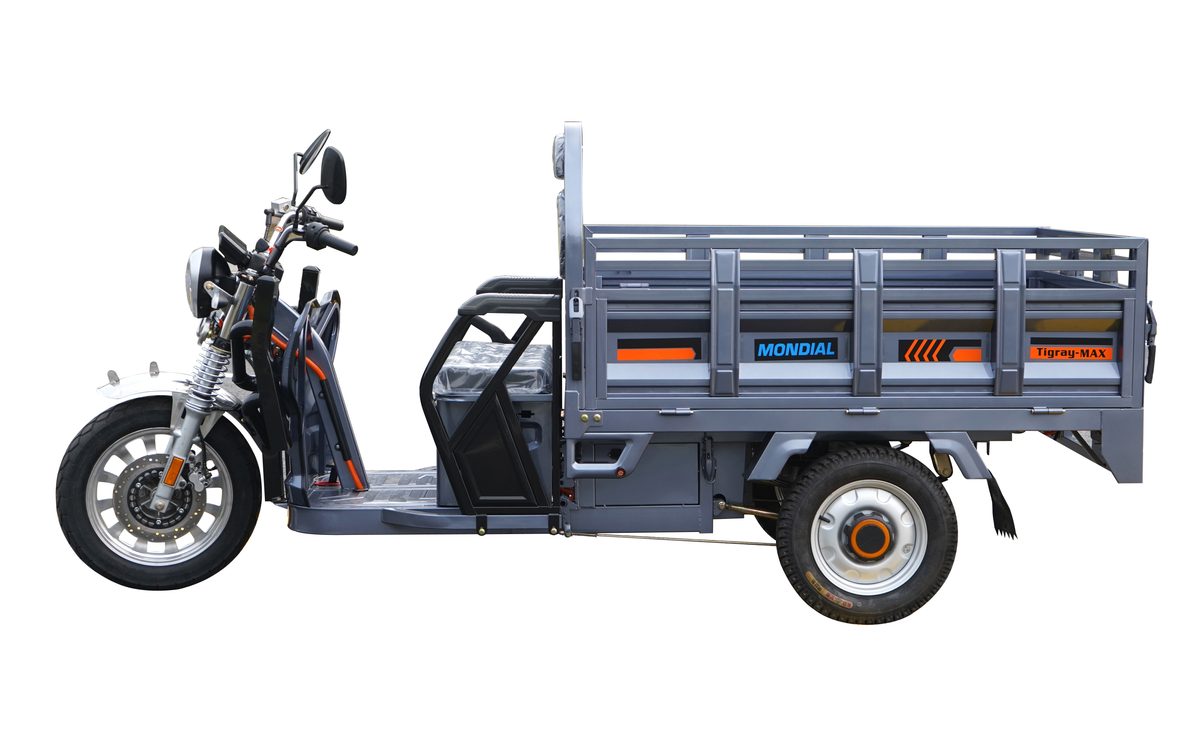ZB1624 EEC Cargo Tricycle 2 ZB1624 EEC Cargo Tricycle