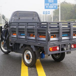 ZB1624 EEC Cargo Tricycle