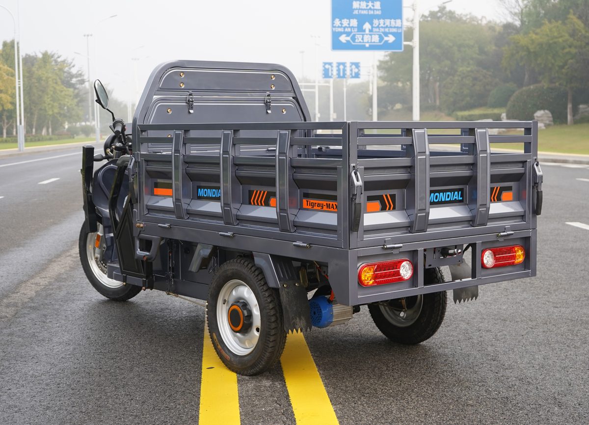 ZB1624 EEC Cargo Tricycle 3 ZB1624 EEC Cargo Tricycle