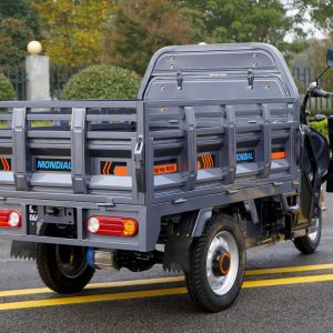 ZB1624 EEC Cargo Tricycle
