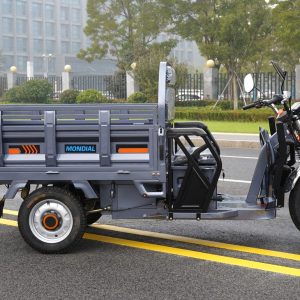 ZB1624 EEC Cargo Tricycle