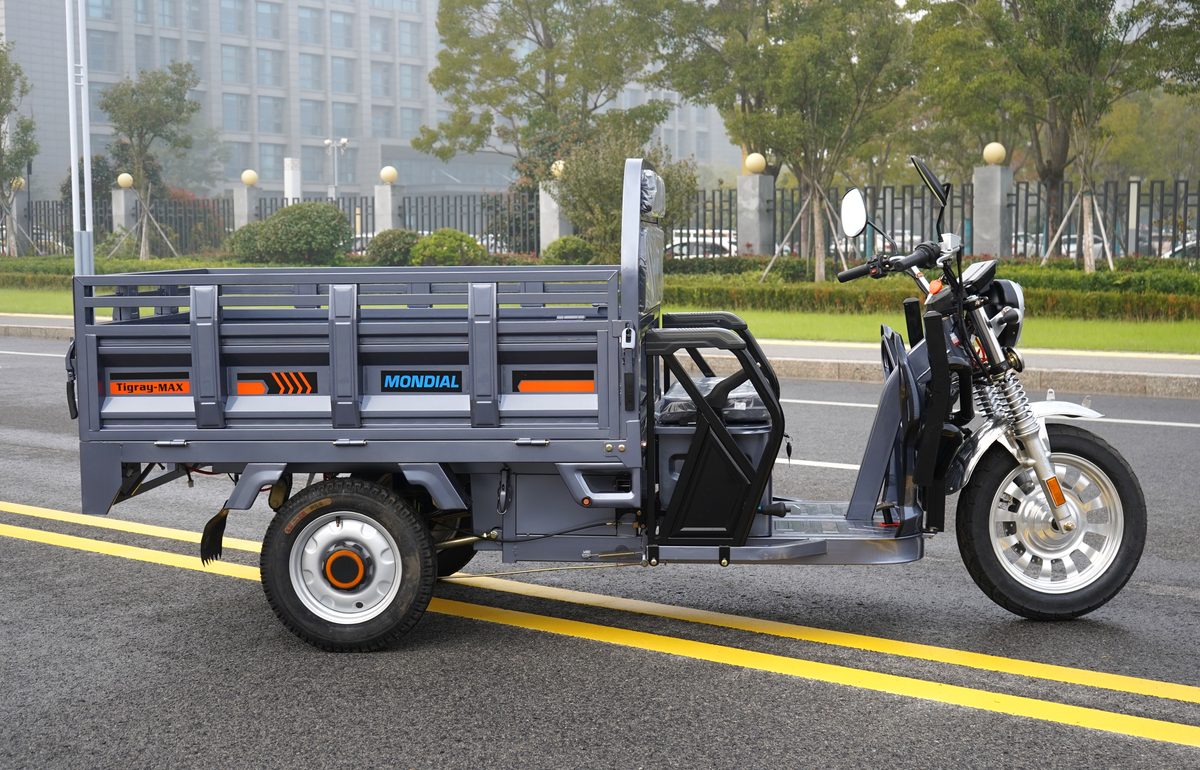 ZB1624 EEC Cargo Tricycle 6 ZB1624 EEC Cargo Tricycle