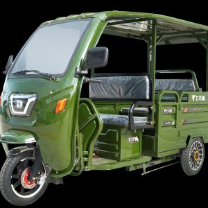 ZBZD-1 EEC Passenger Tricycle
