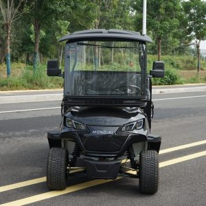 pioneer black g1