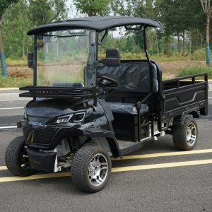 pioneer black main